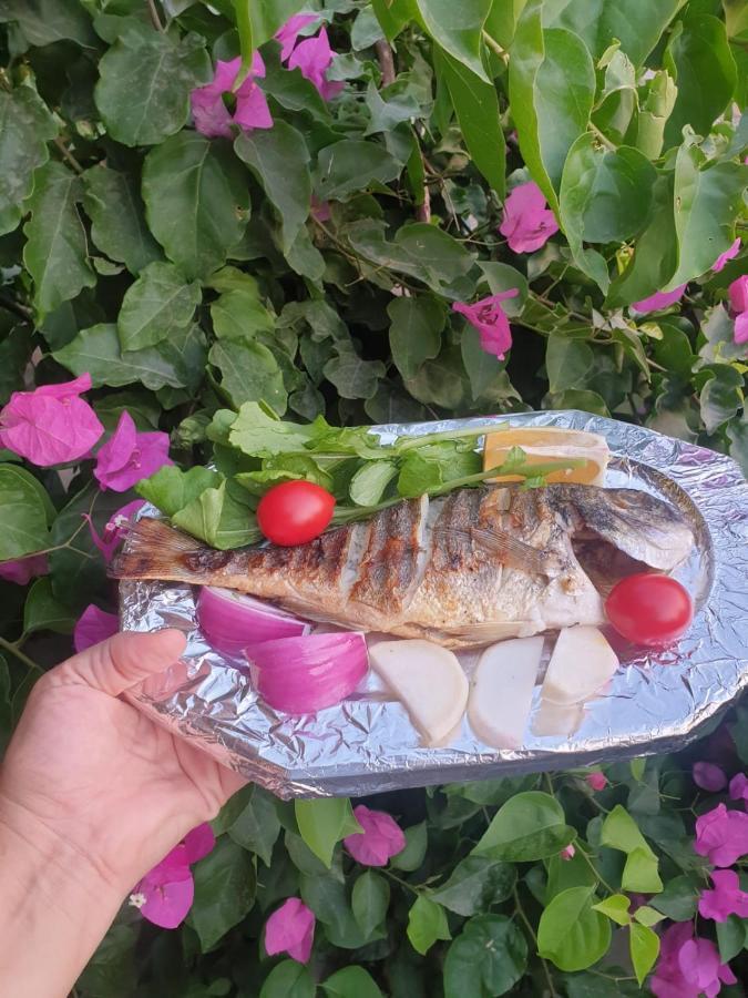 Ilkim * Marmaris